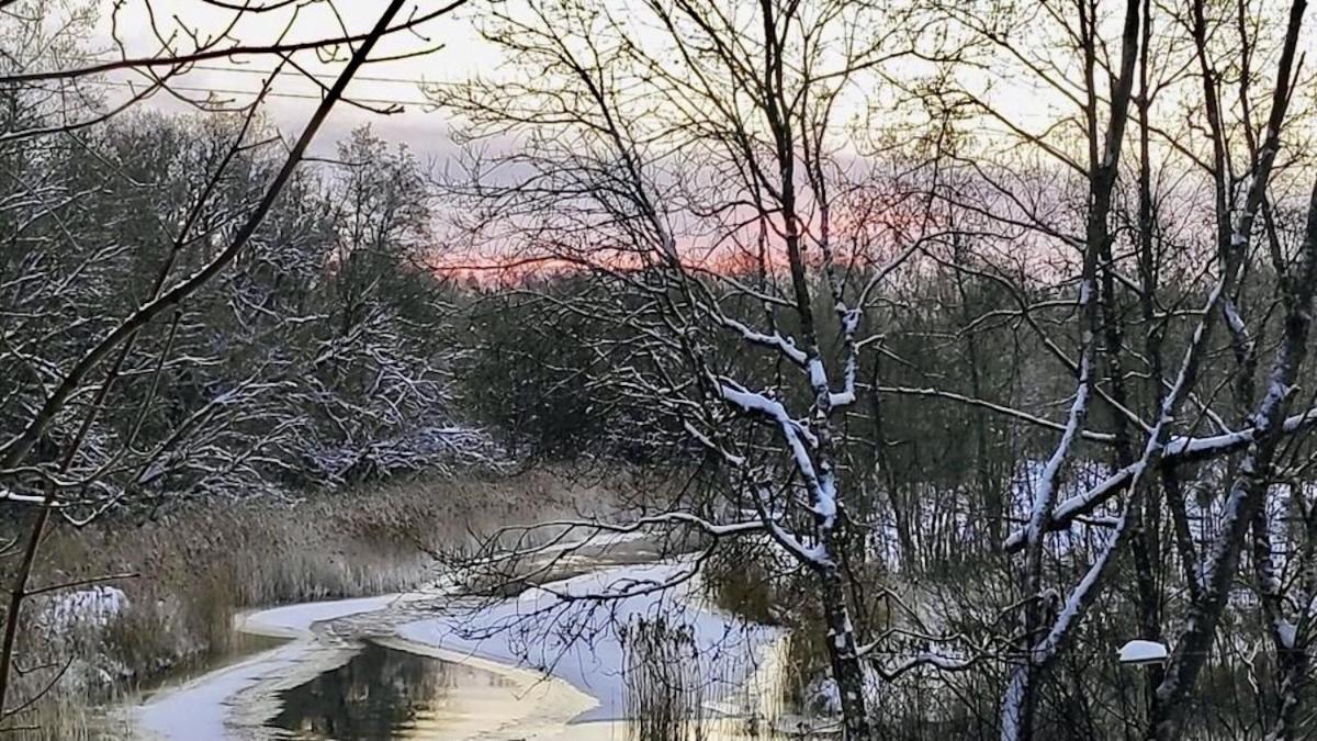 Villa Joeaeaere Puhkekeskus Langa Esterno foto